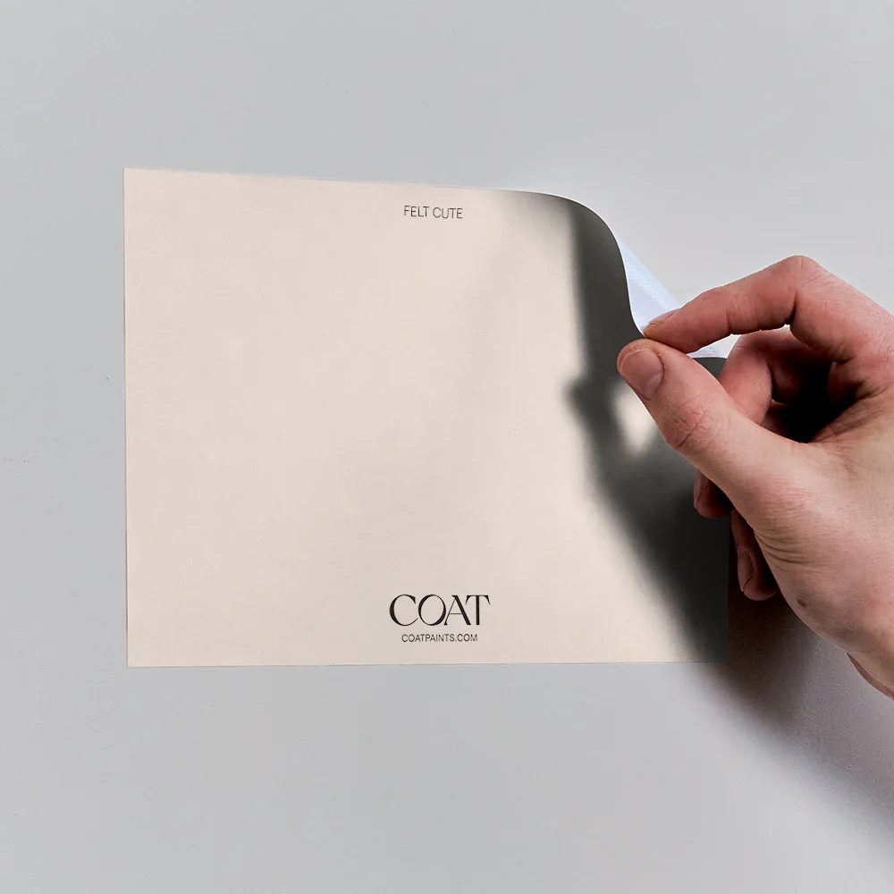 Bare Plaster Pack - Image 7