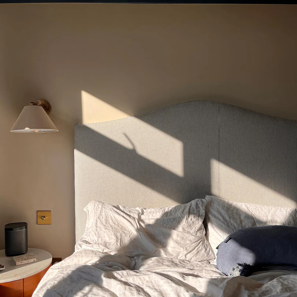 Pampas - Image 33